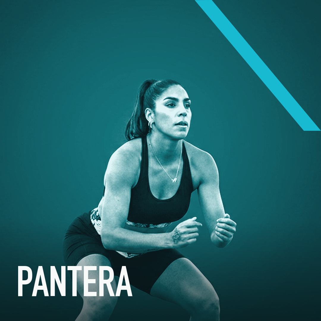 Pantera
