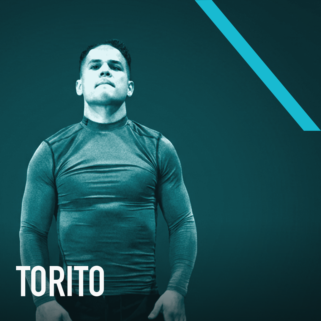 Torito